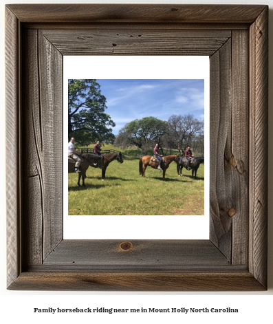 family horseback riding near me in Mount Holly, North Carolina